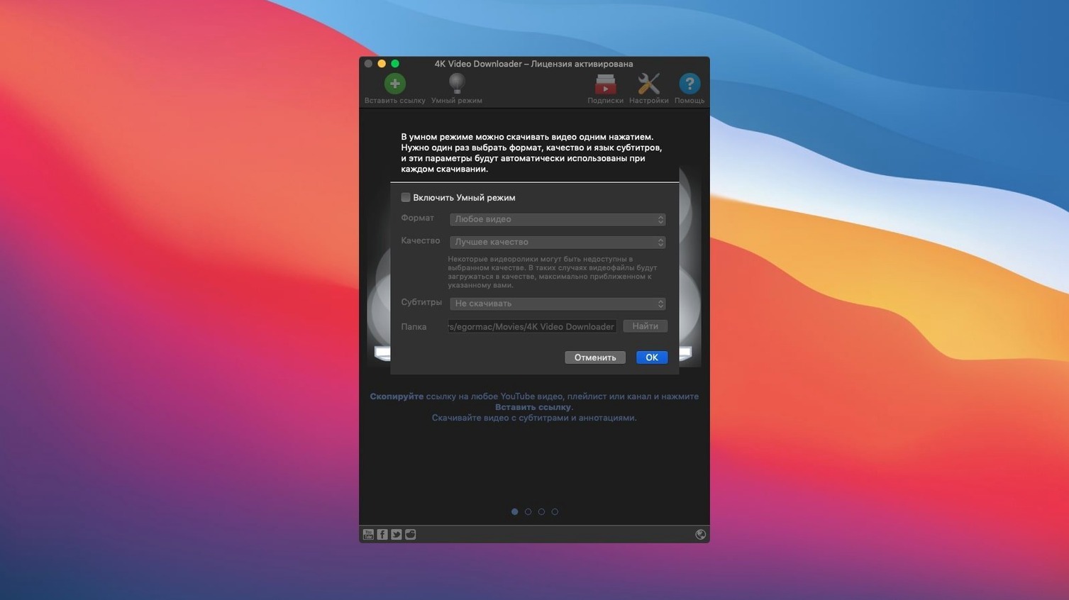 4K Video Downloader detail view 2