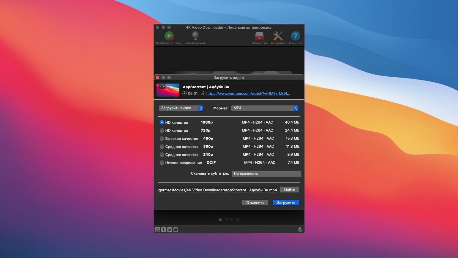 4K Video Downloader detail view 3