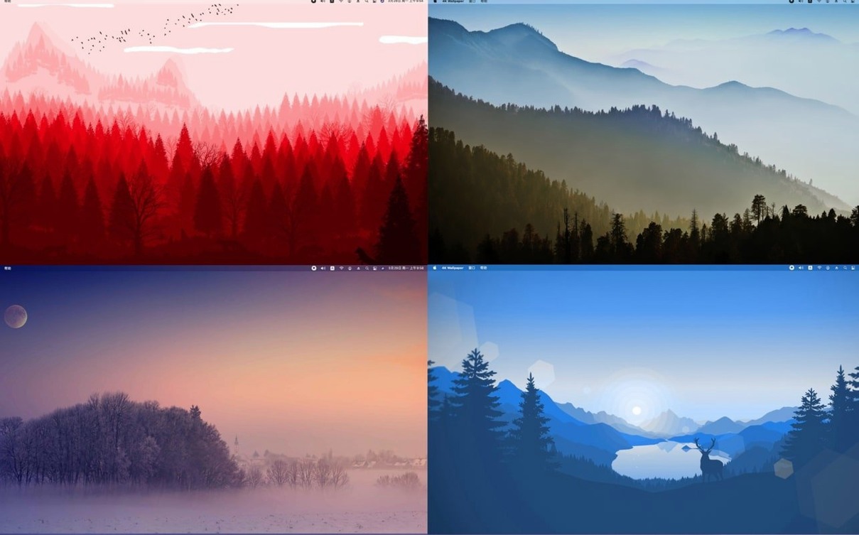 4K Wallpaper - HD Wallpapers detail view 3