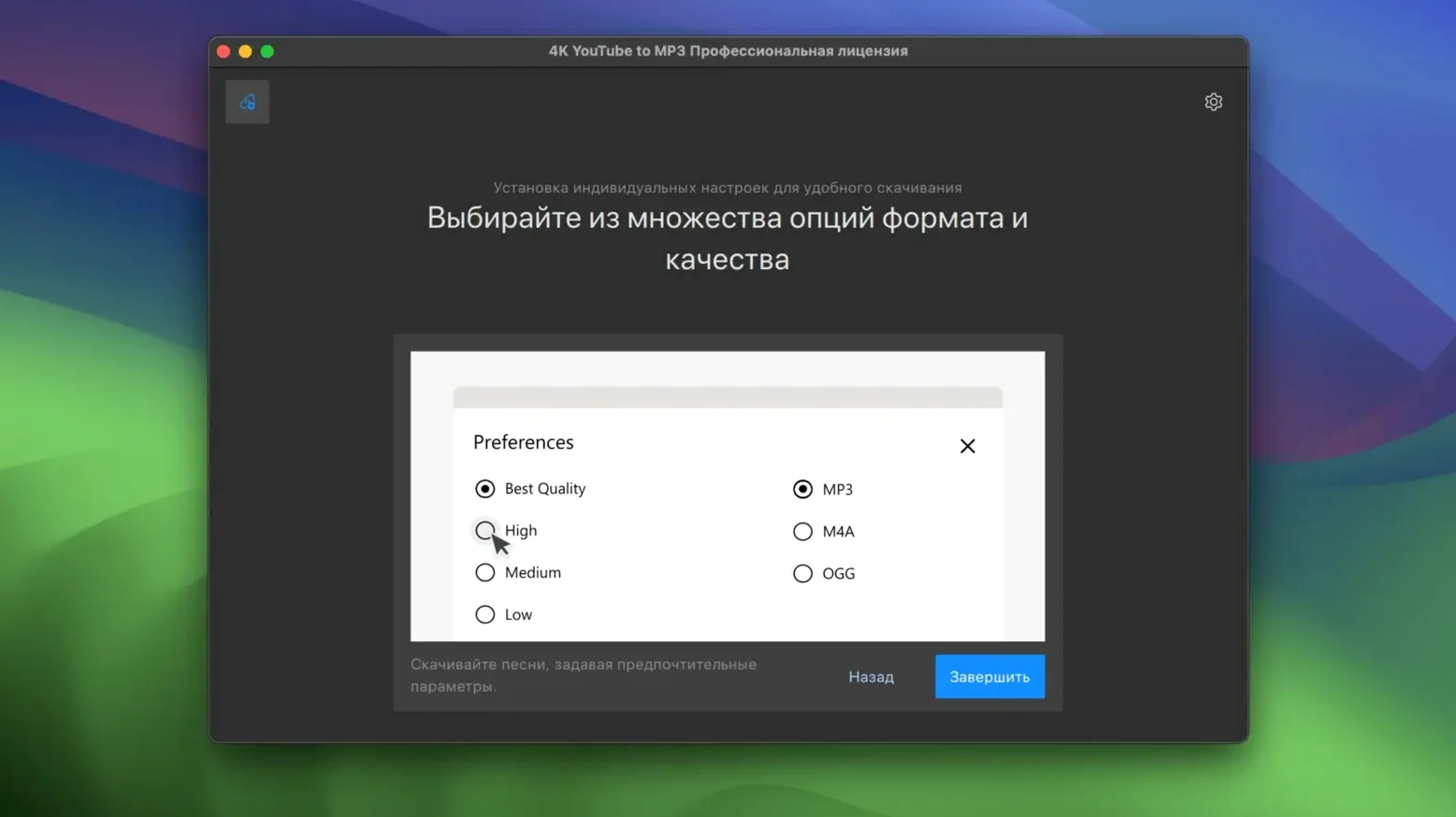 4K YouTube to MP3 detail view 2