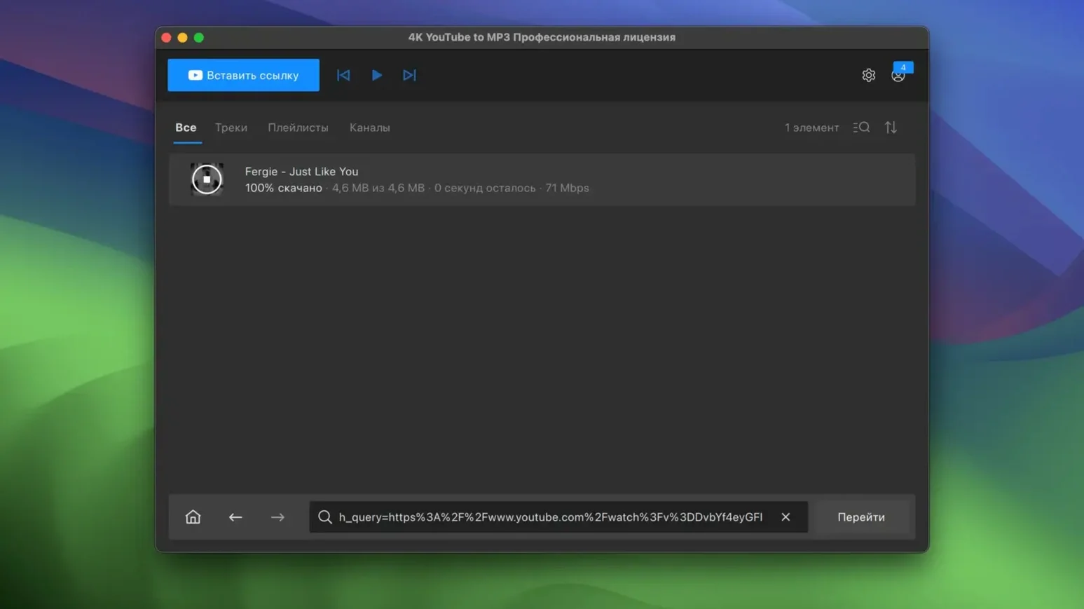 4K YouTube to MP3 detail view 4