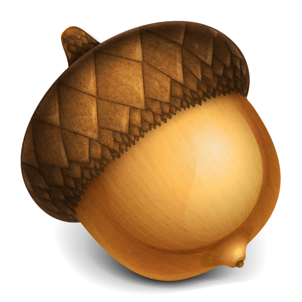 Official Acorn icon