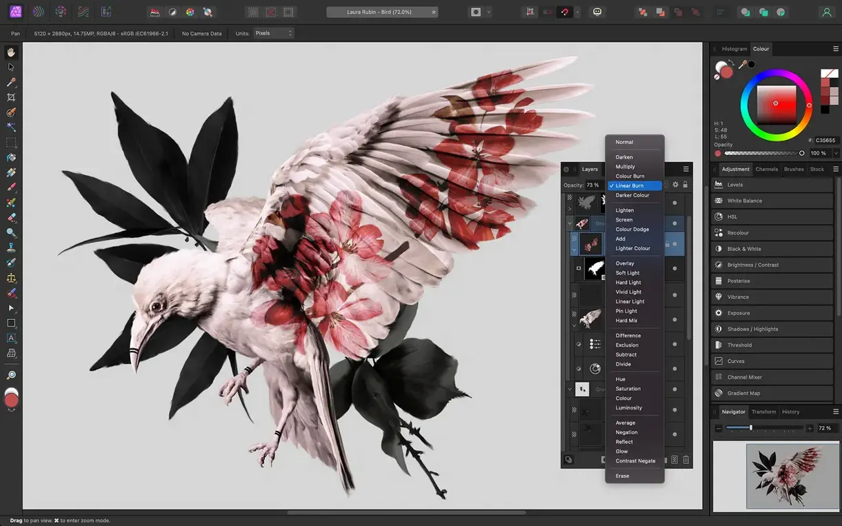 Affinity Photo detail view 2