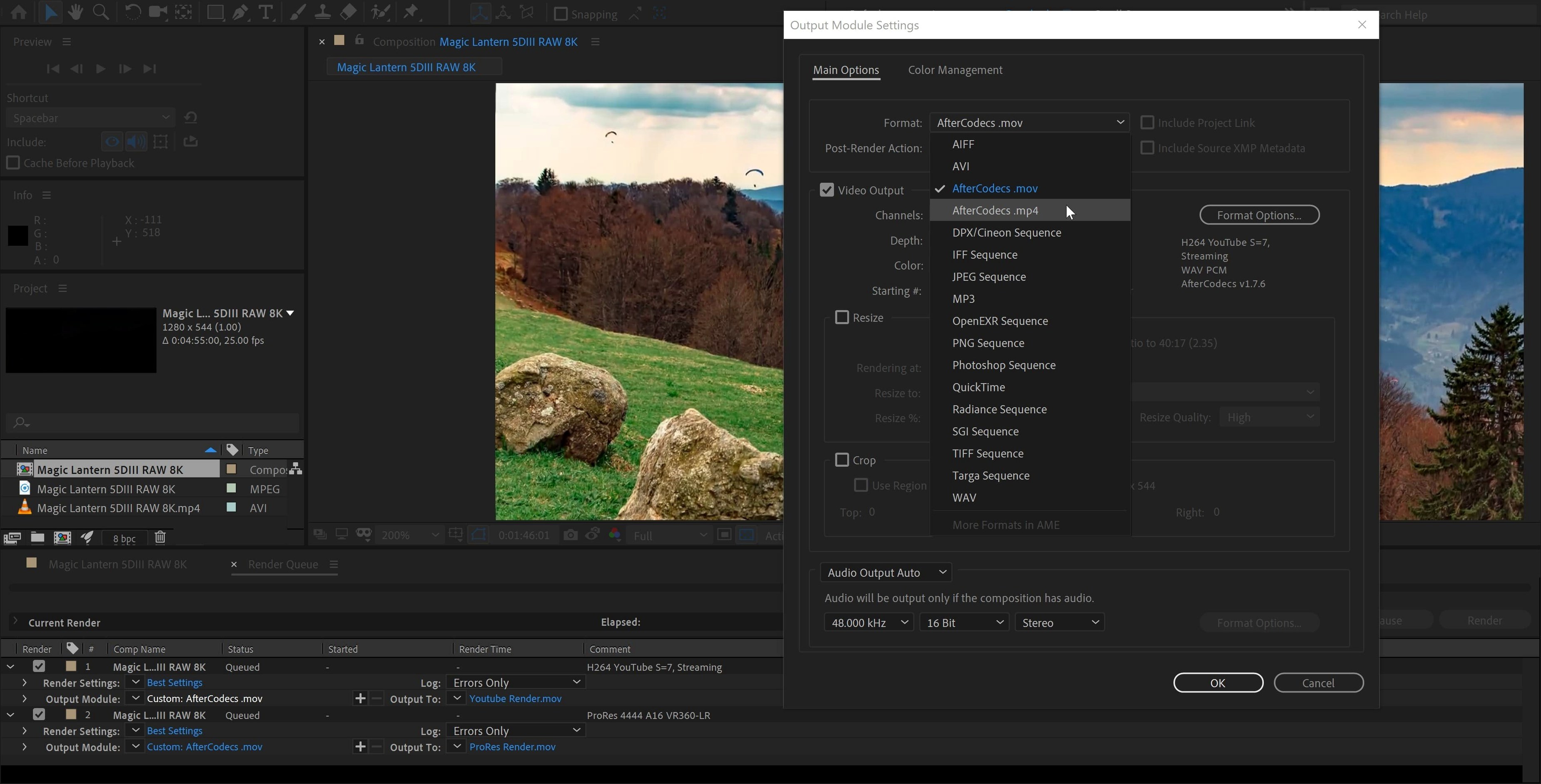 AfterCodecs detail view 2