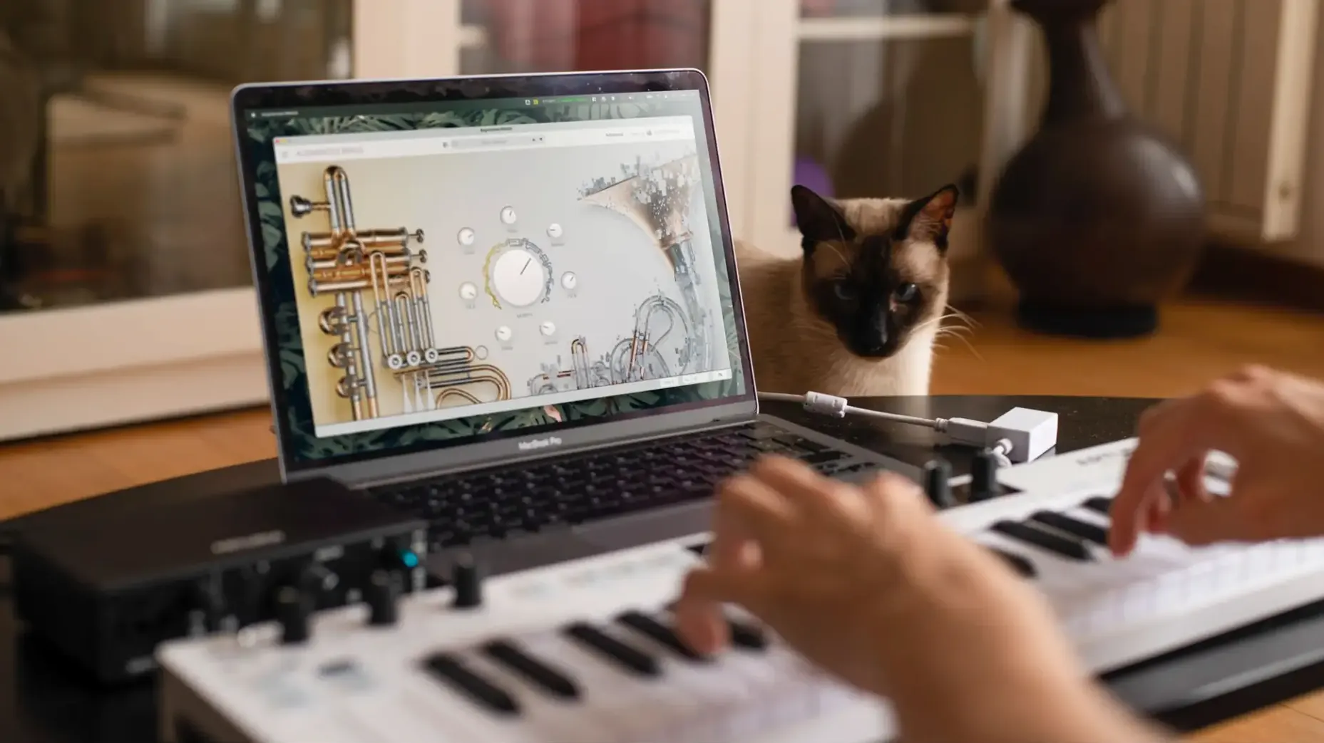 arturia augmented brass torrent mac — window overview