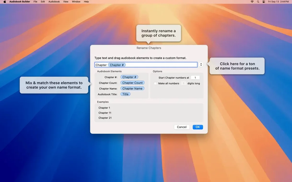 Audiobook Builder detail view 5