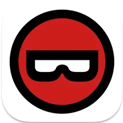 Binary Ninja program icon