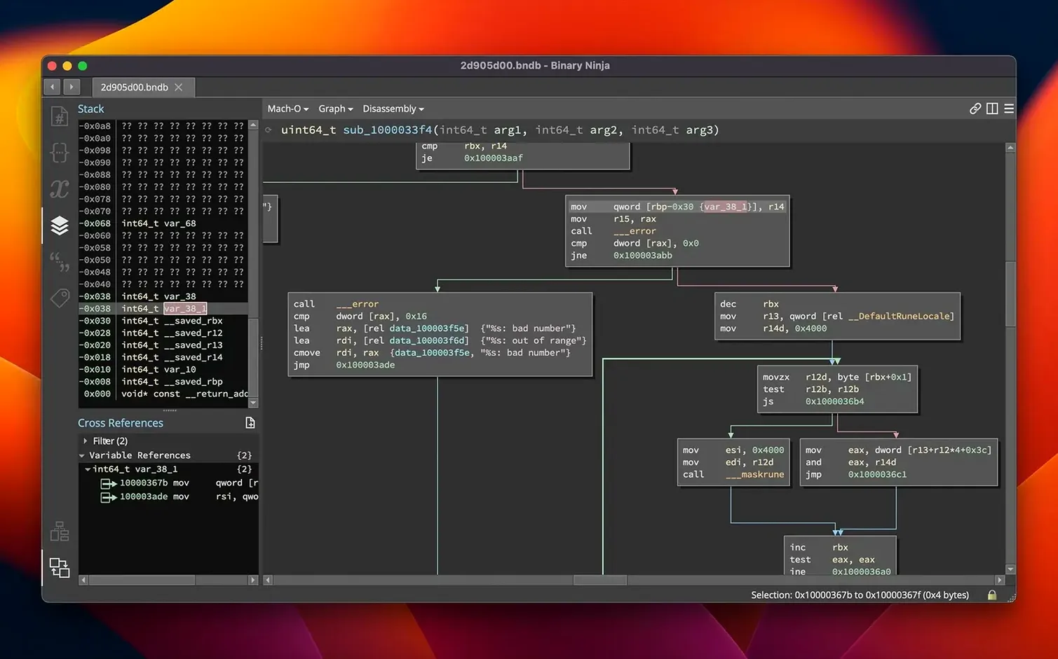Binary Ninja detail view 3