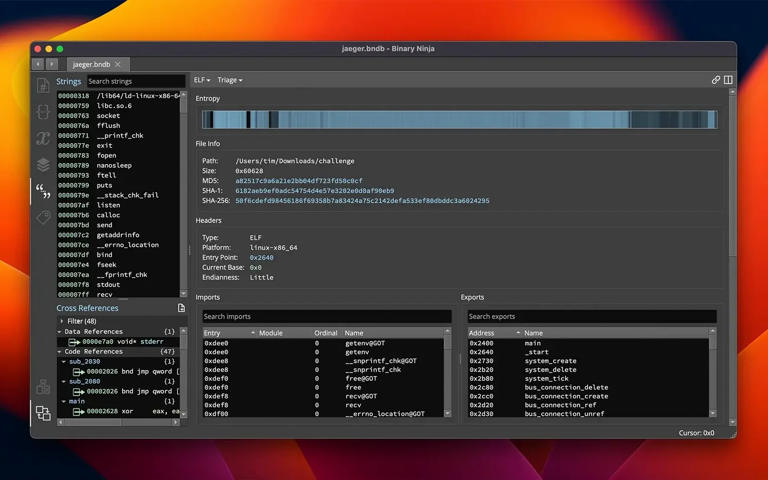 Binary Ninja detail view 4