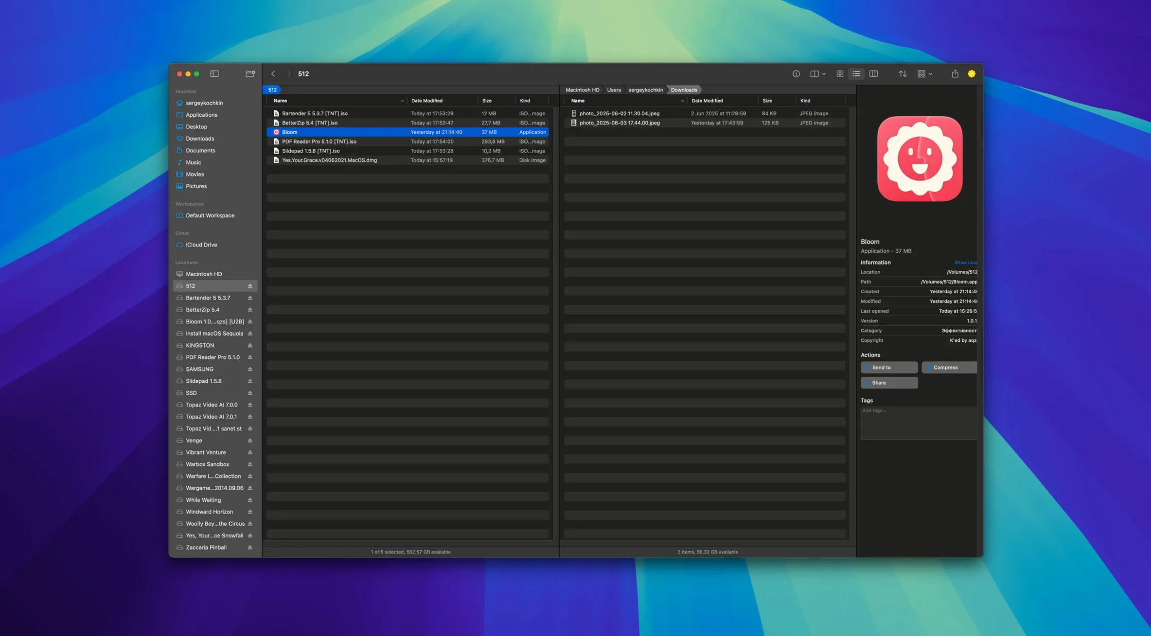 bloom oeksound torrent — window overview