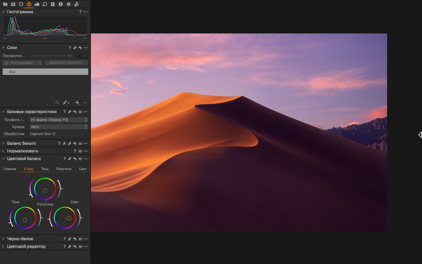 Capture One detail view 2