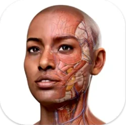 Complete Anatomy program icon