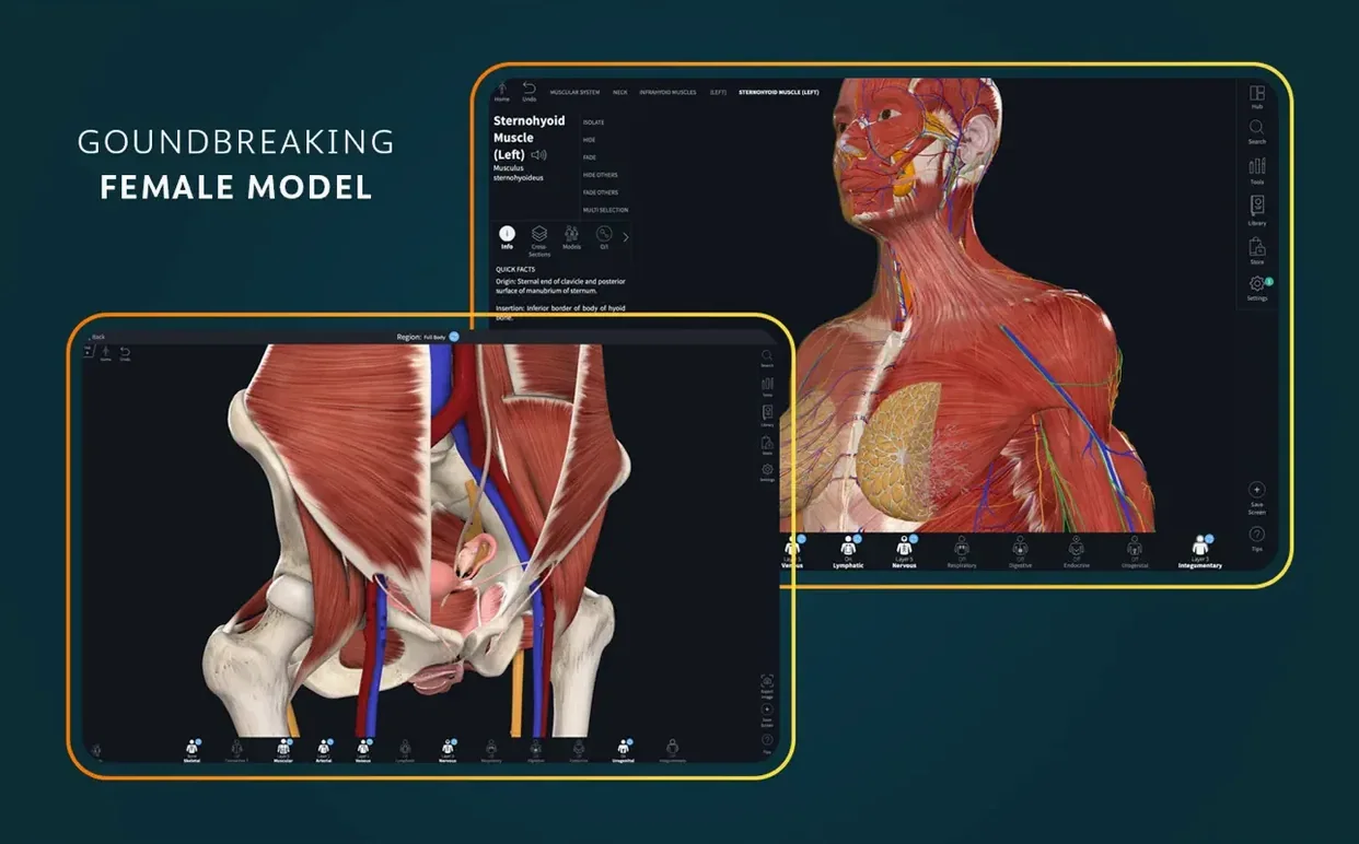 3d atlas of anatomy start screen