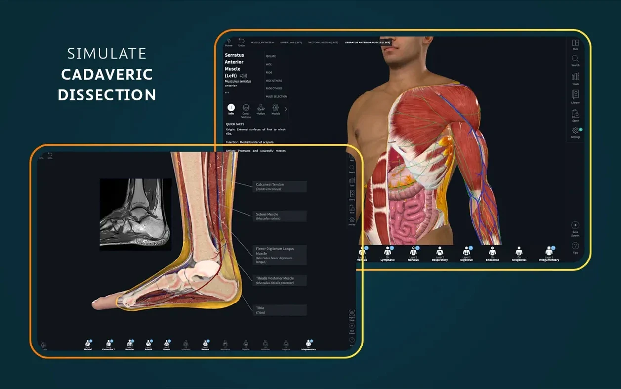 Complete Anatomy detail view 2