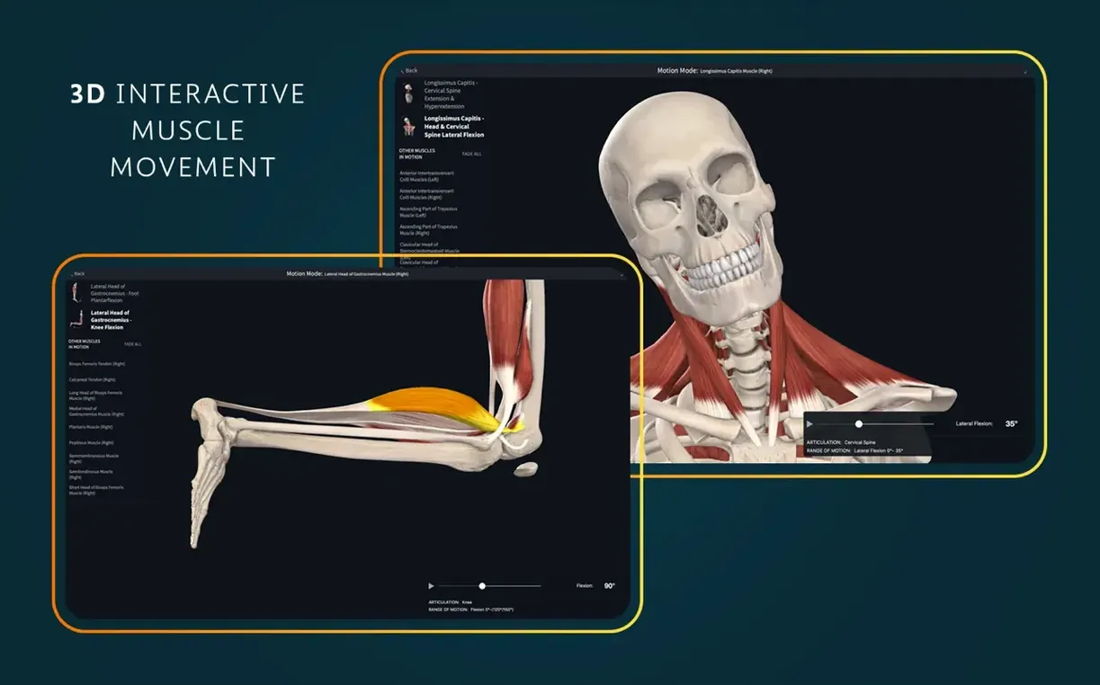 Complete Anatomy detail view 3