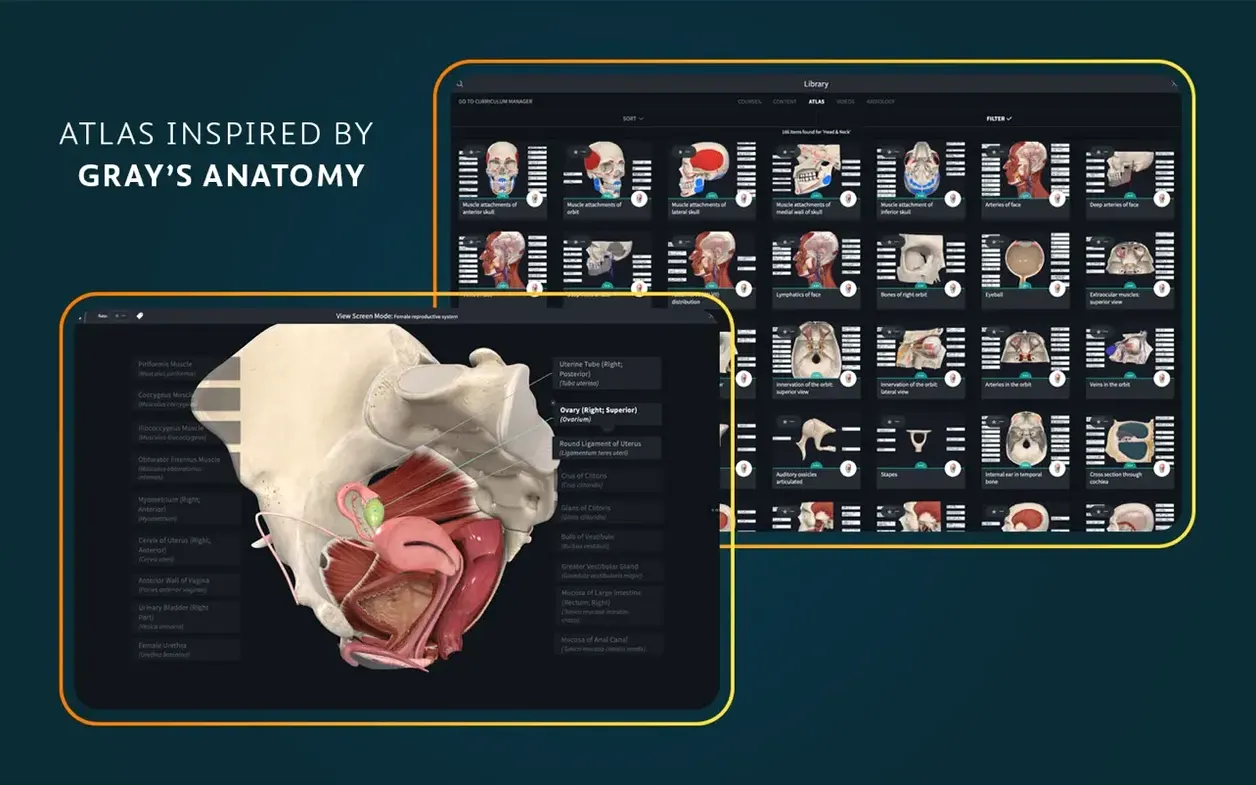 Complete Anatomy mode 5