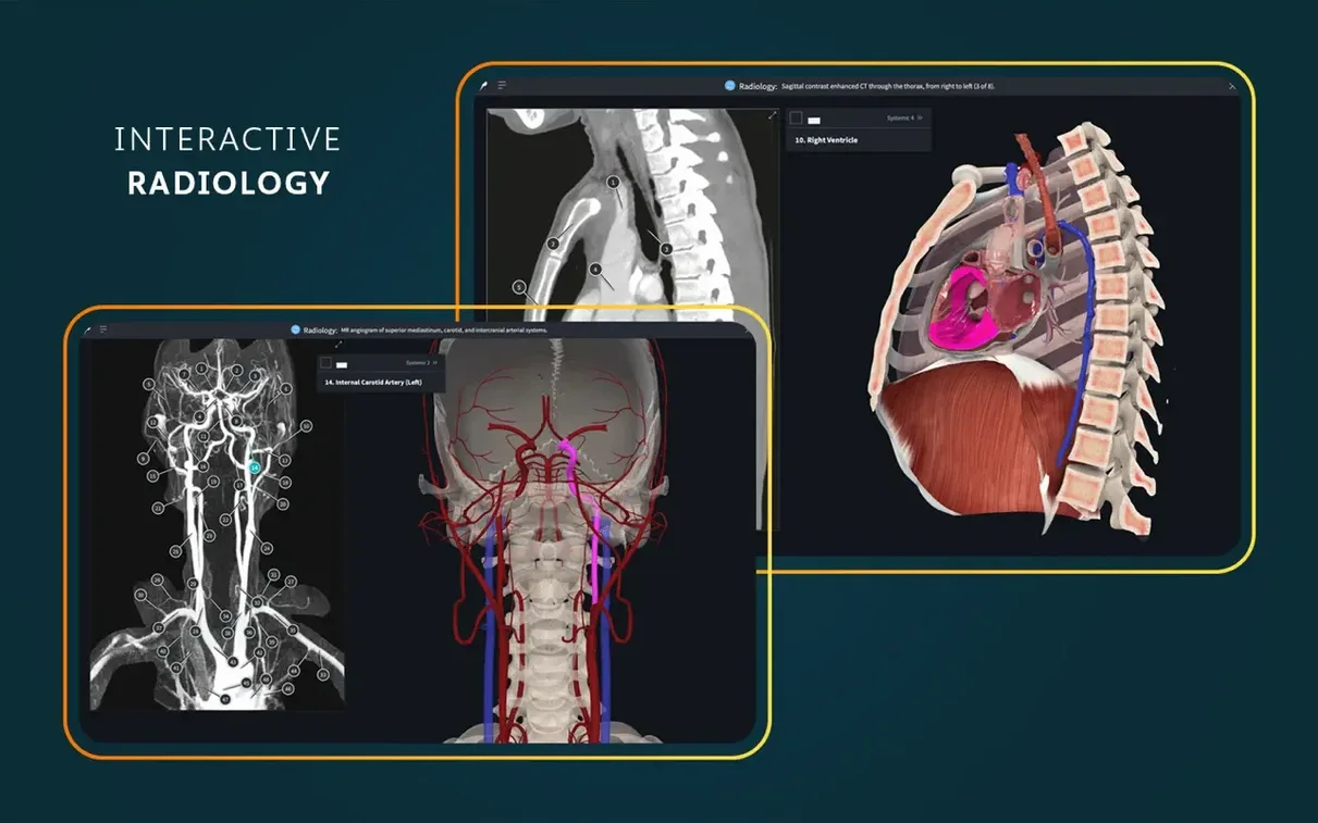Complete Anatomy mode 7