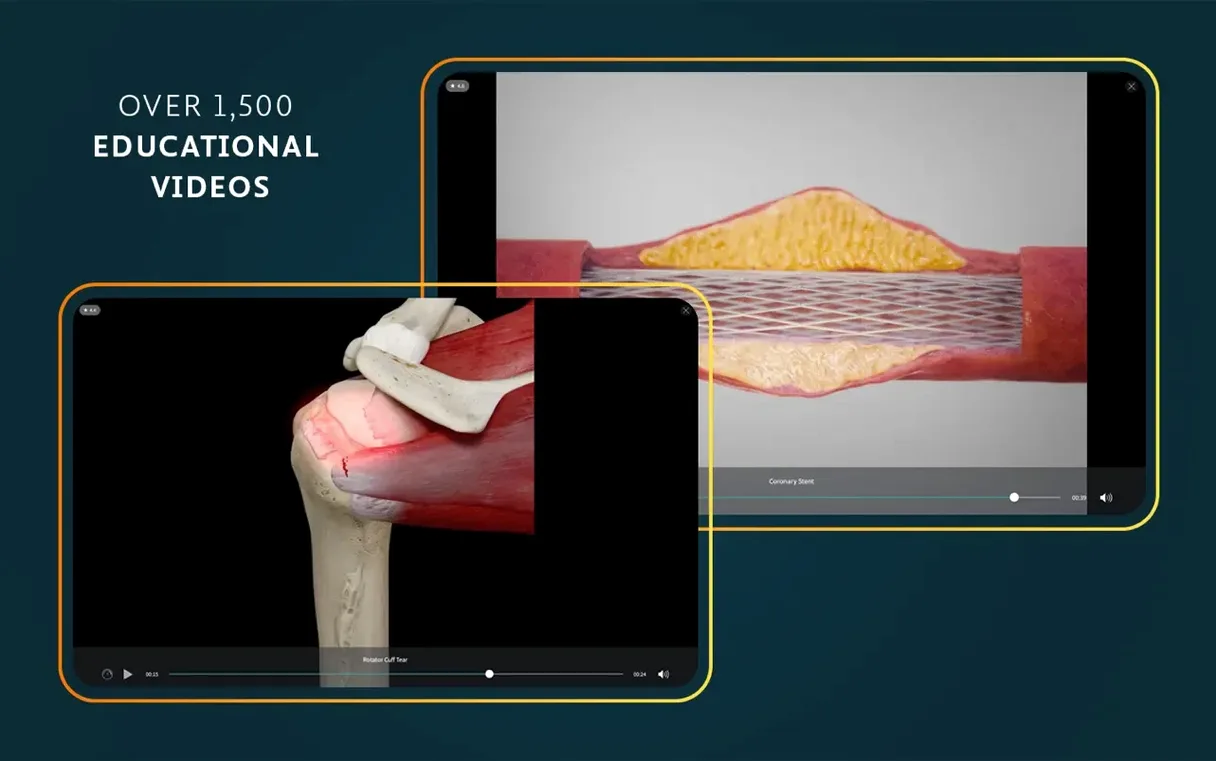 Complete Anatomy mode 8