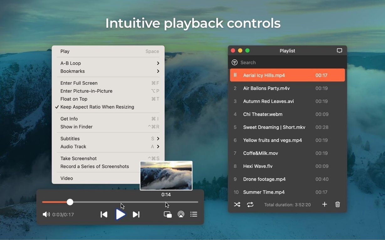 Elmedia Player Pro detail view 2
