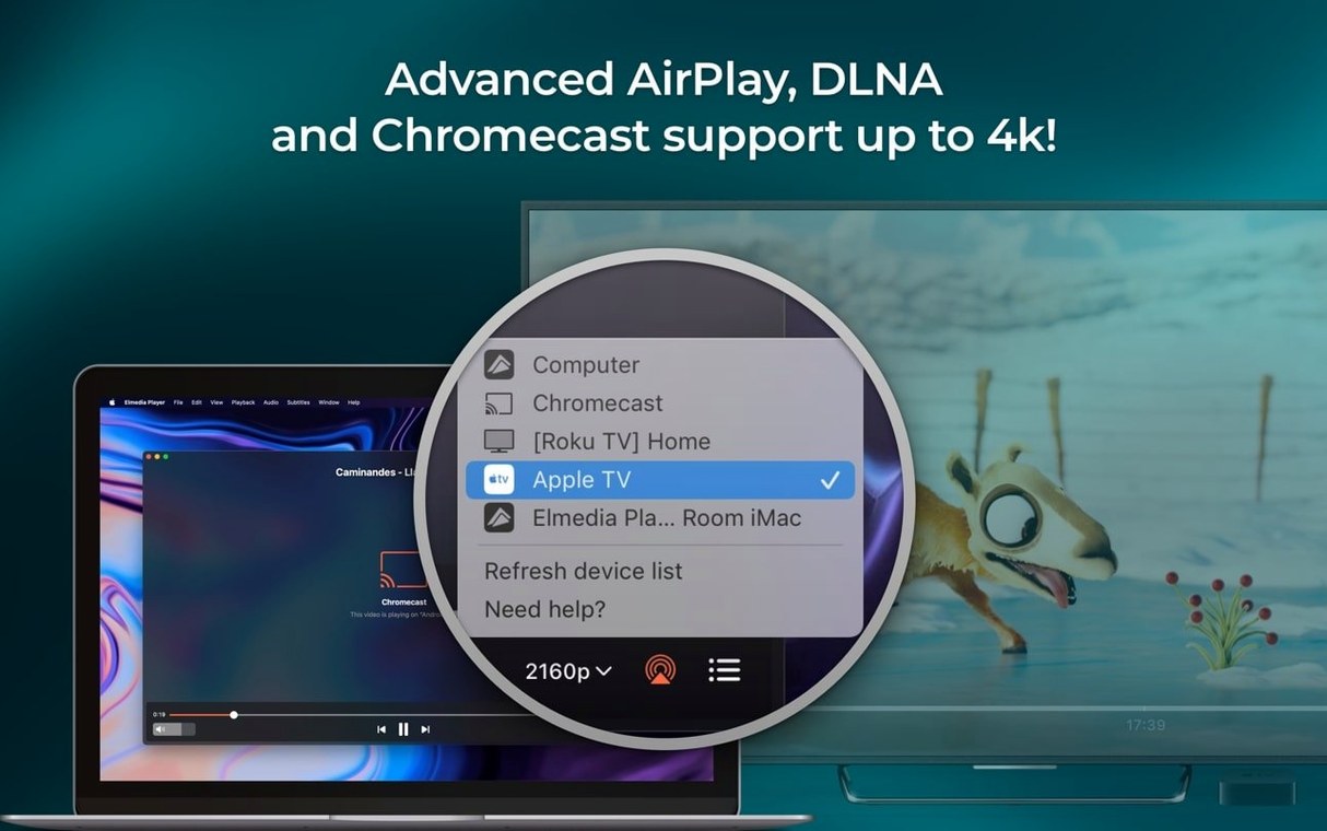 Elmedia Player Pro detail view 3