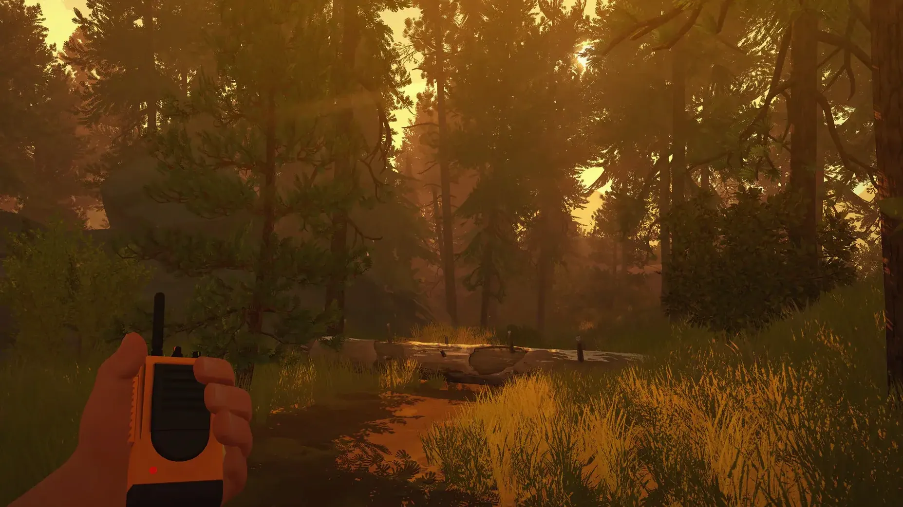 Firewatch mode 2