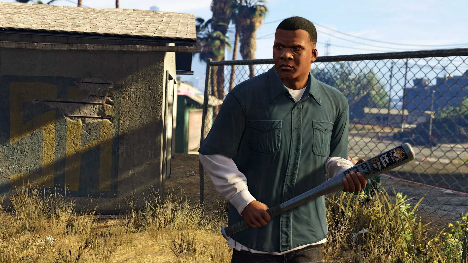 Grand Theft Auto V detail view 3