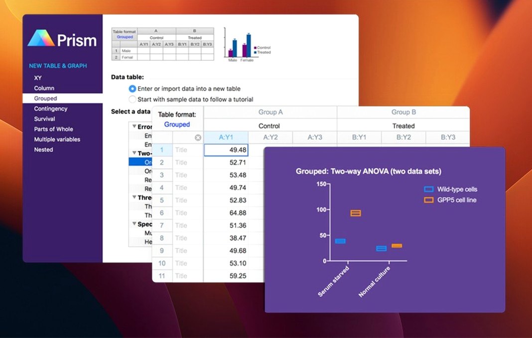 prism tnt — window overview