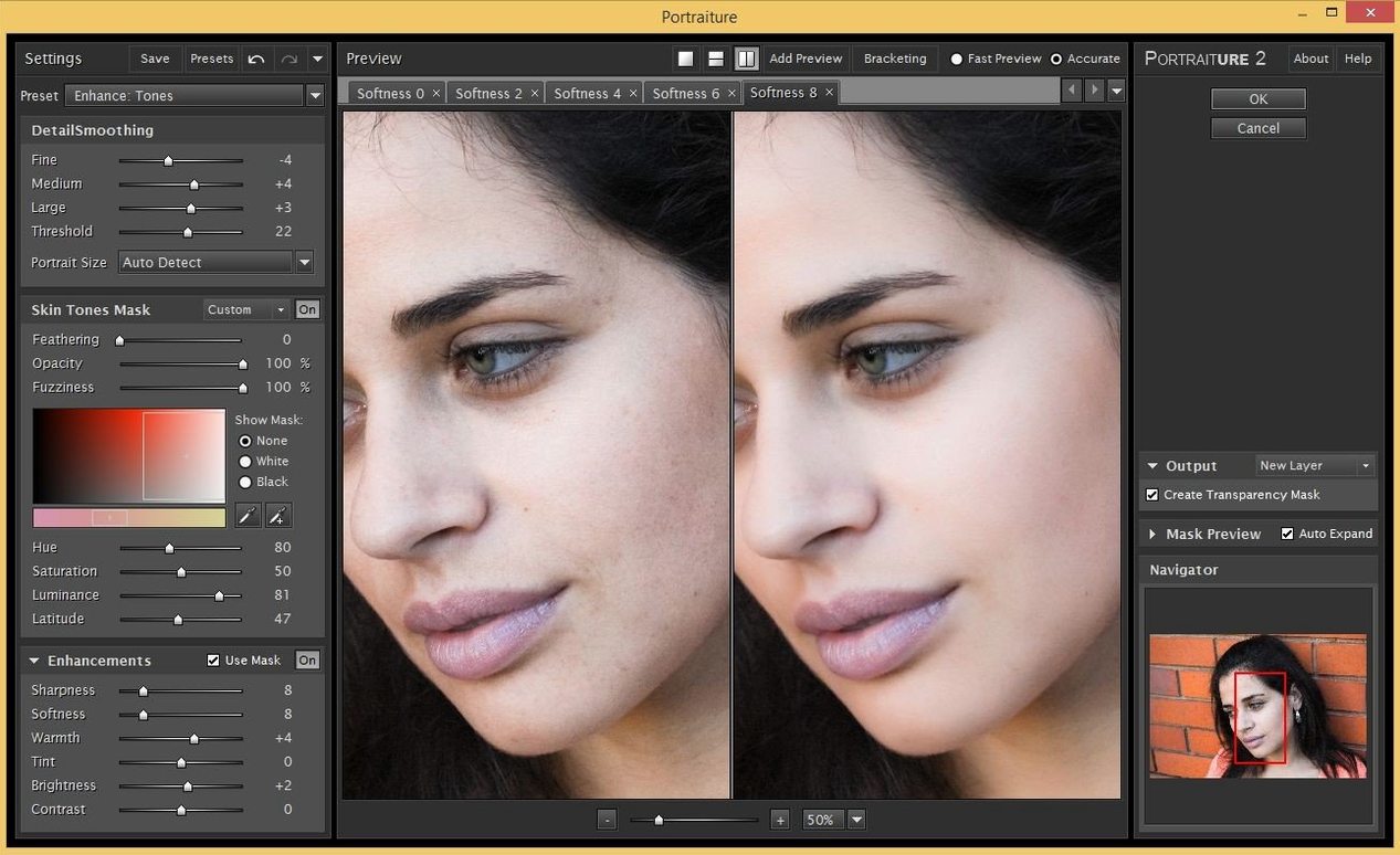portraiture mac torrent — window overview