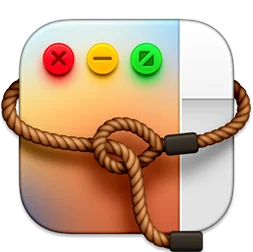 Lasso program icon