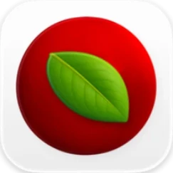 Lingon 10 program icon