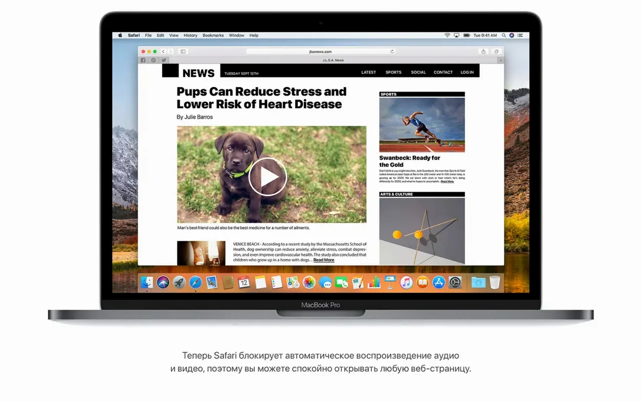 macOS High Sierra detail view 2