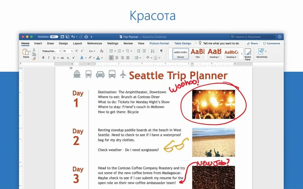excel torrent mac — window overview