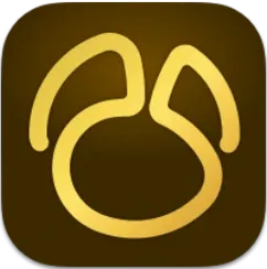 Official Navicat Premium icon