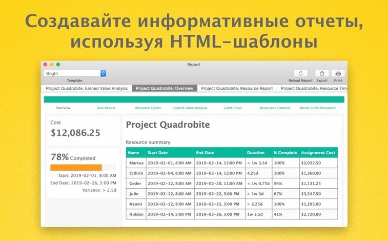 OmniPlan Pro detail view 2
