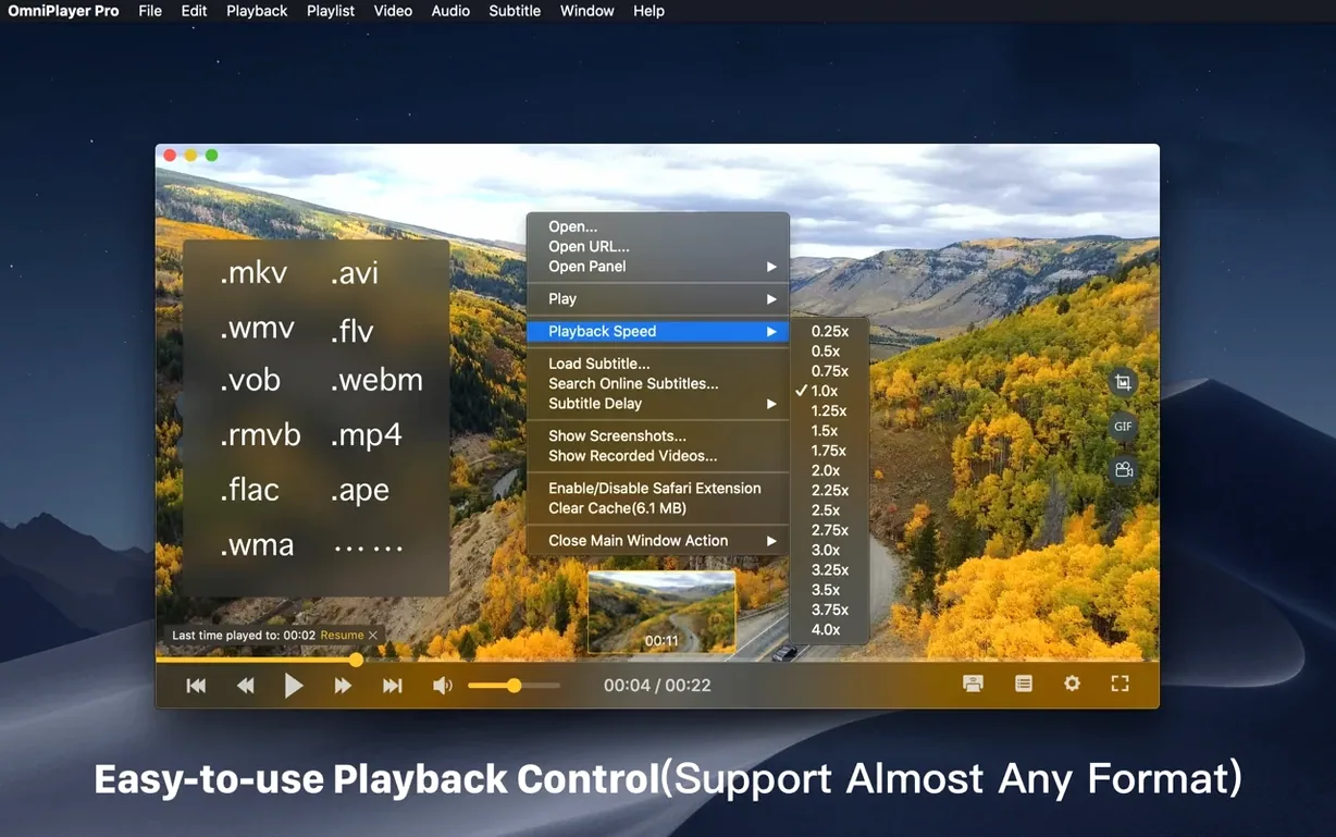 mkv torrent — window overview