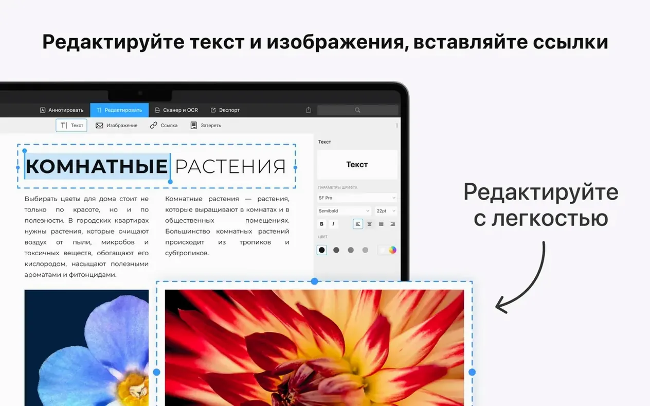 PDF Expert detail view 3