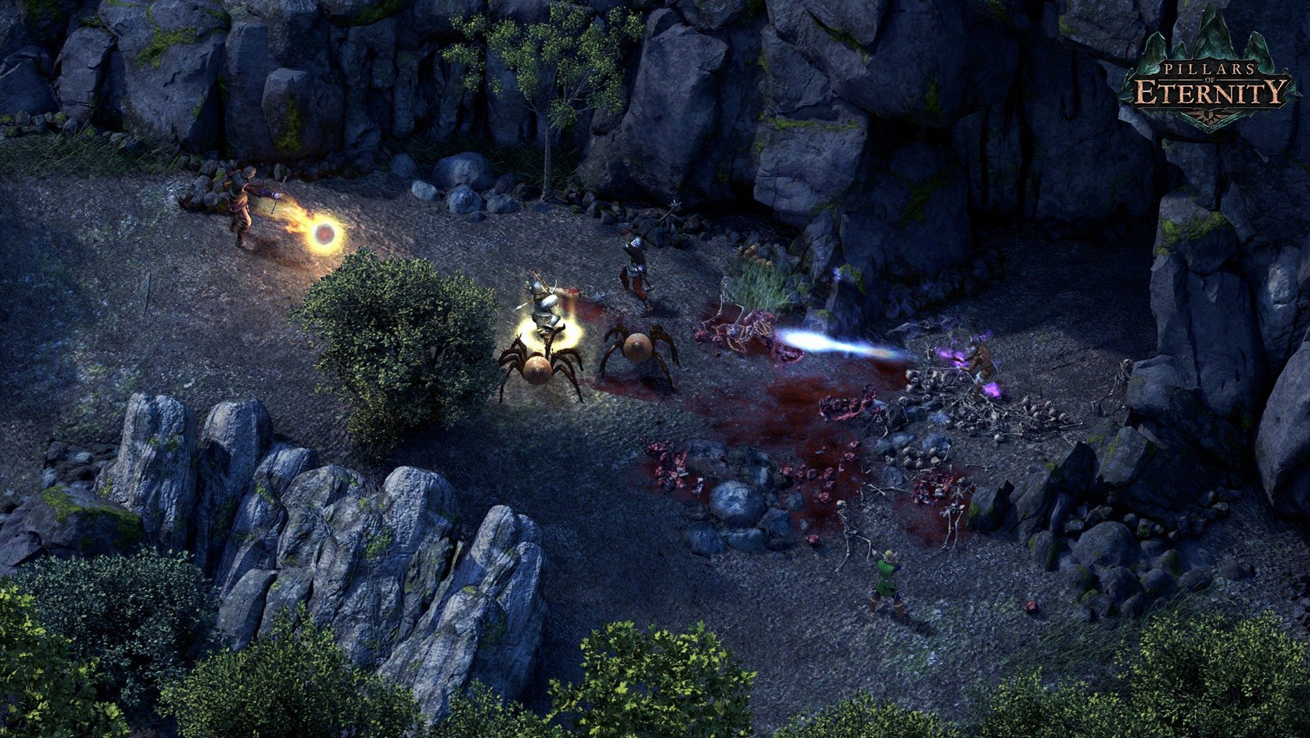 Pillars of Eternity: Definitive Edition detail view 2