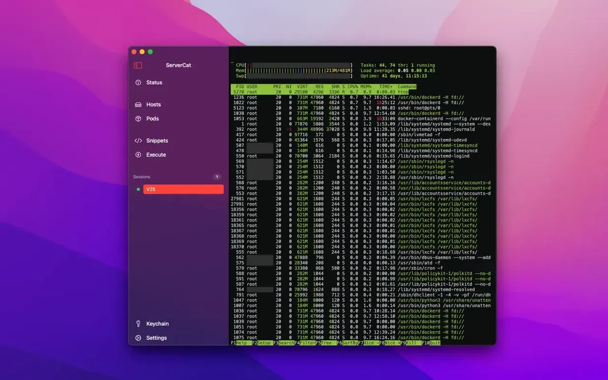 ServerCat - SSH Terminal mode 3