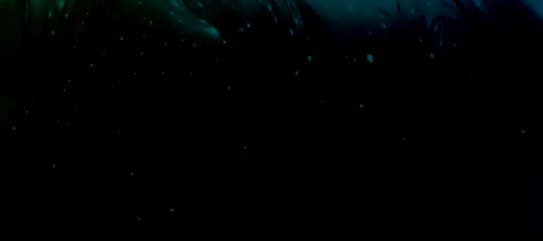 Official Slate Digital Submerge icon