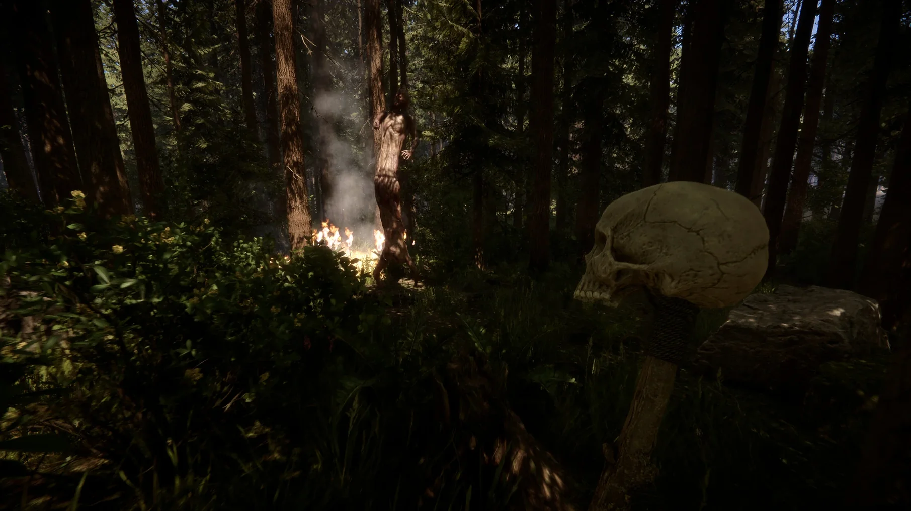 Sons Of The Forest mode 8