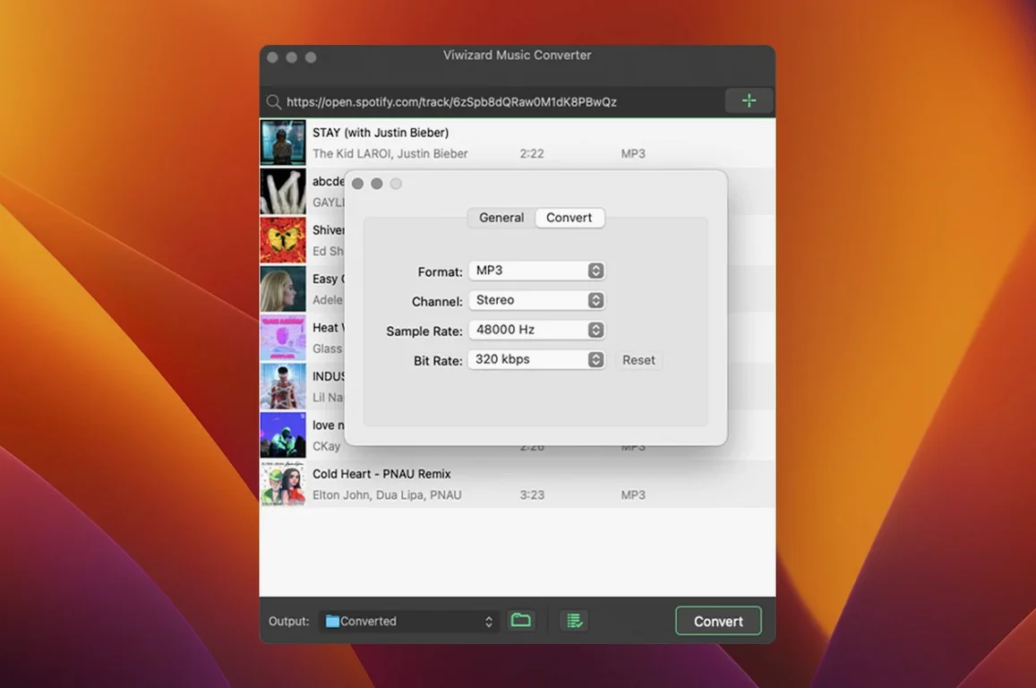 ViWizard Spotify Music Converter detail view 2