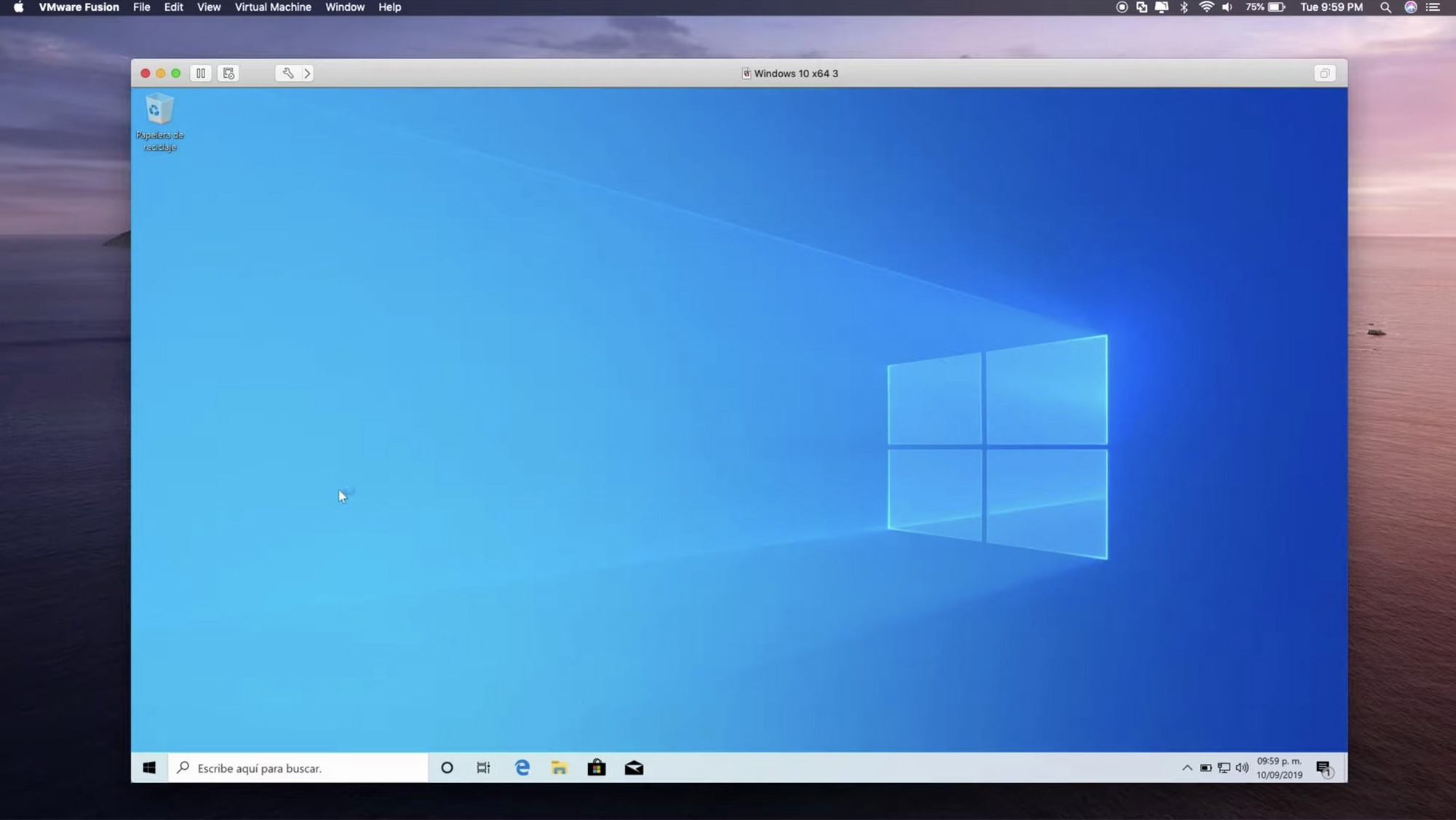 VMware Fusion Pro detail view 2