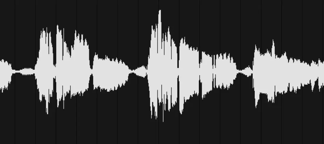 Official VocalNet icon
