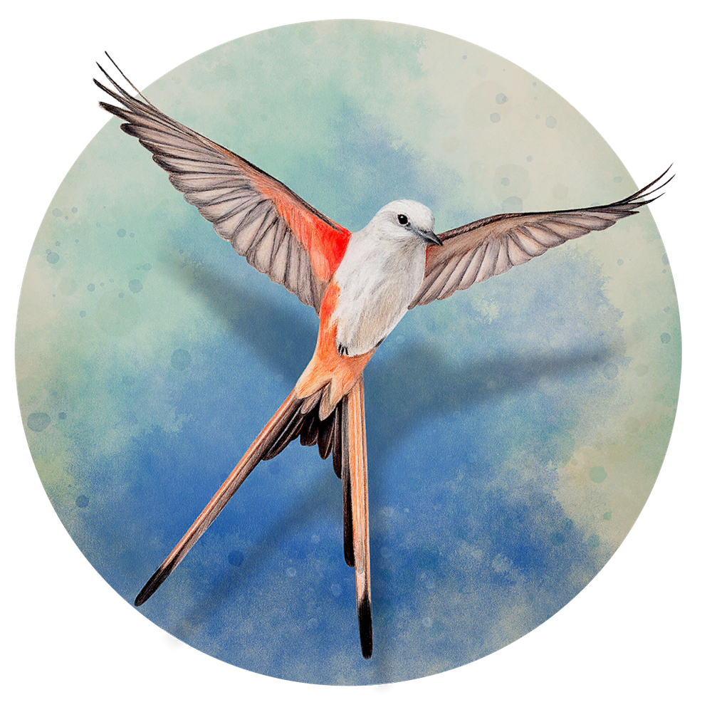 Wingspan program icon